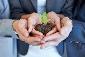 Going Green in the Office: How to Reduce Your Carbon Footprint and Save Money