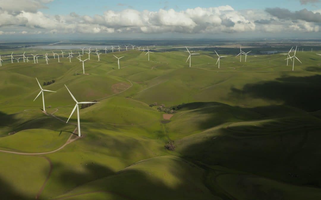 The importance of going green