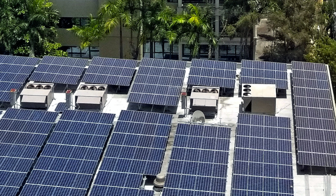 What is a feed-in tariff and how does it work?